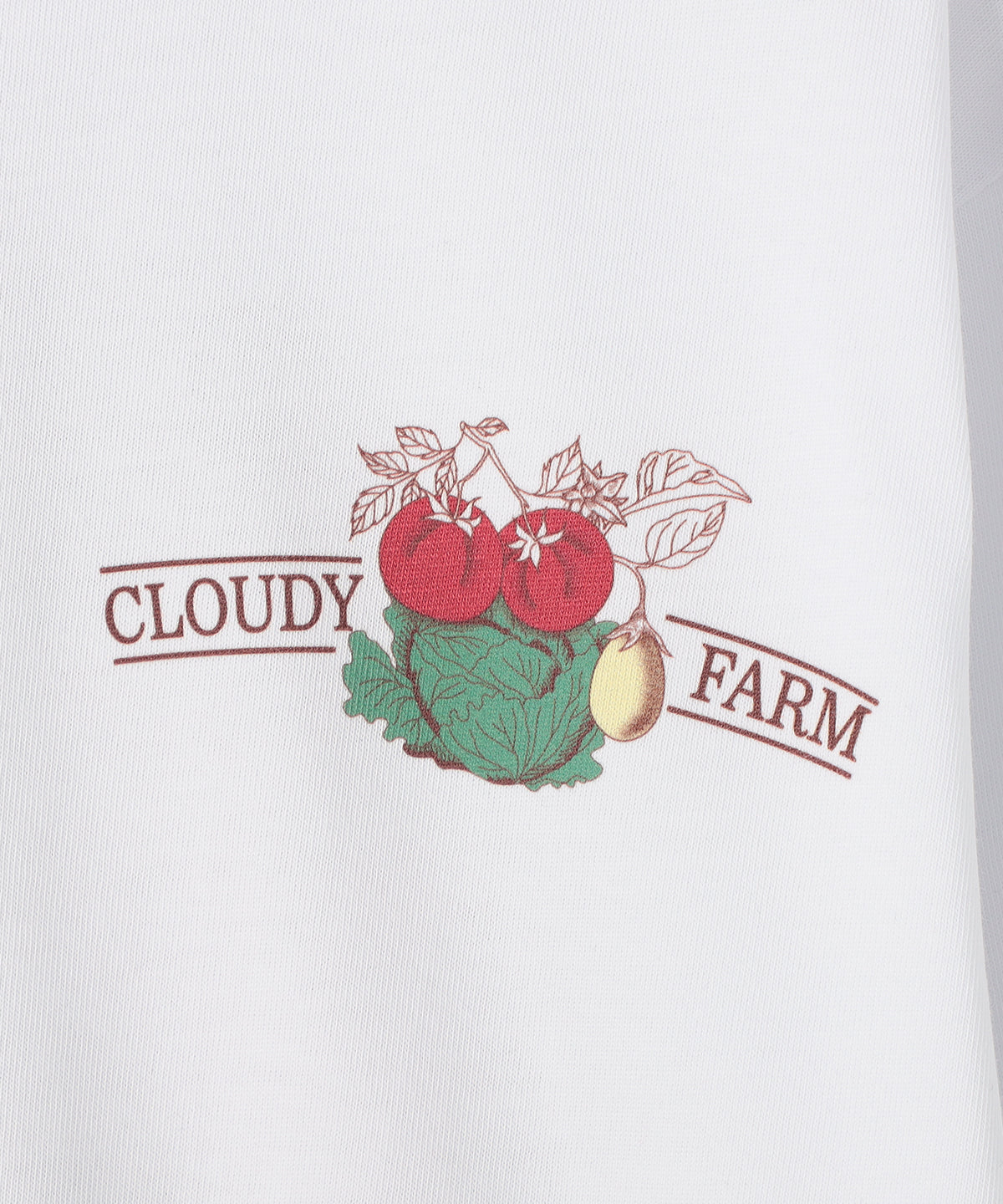 Long Sleeve T-Shirts Atitto WHITE