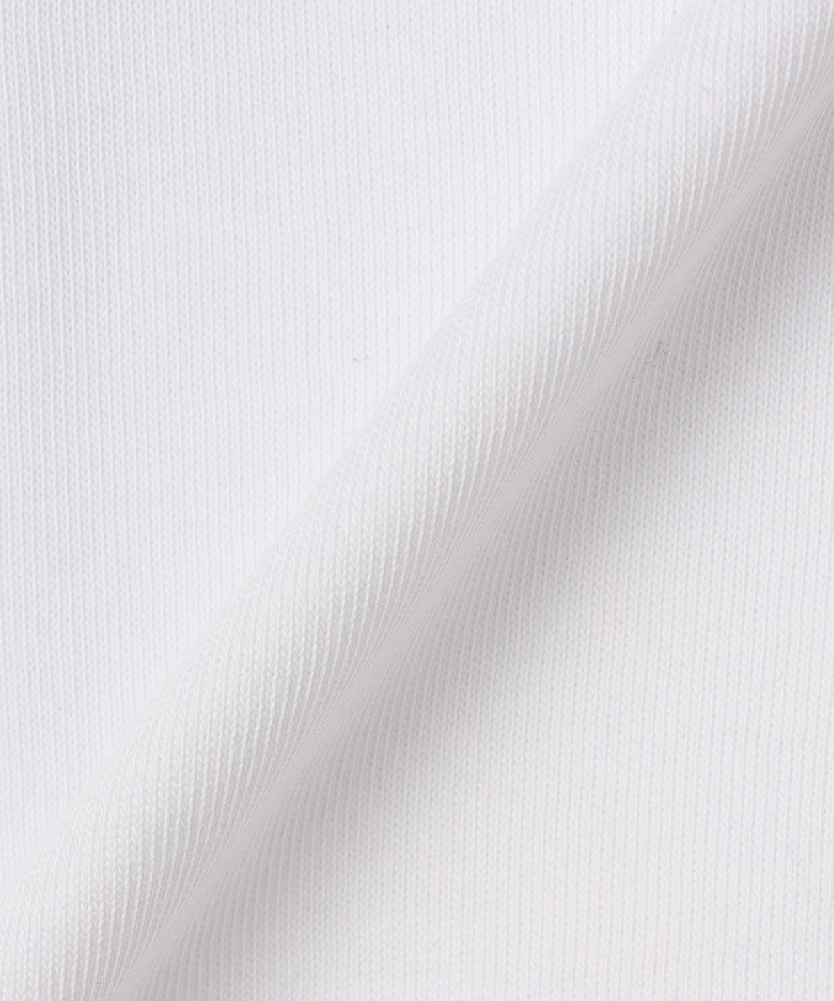 Lunch T-shirts Family is like a forest WHITE