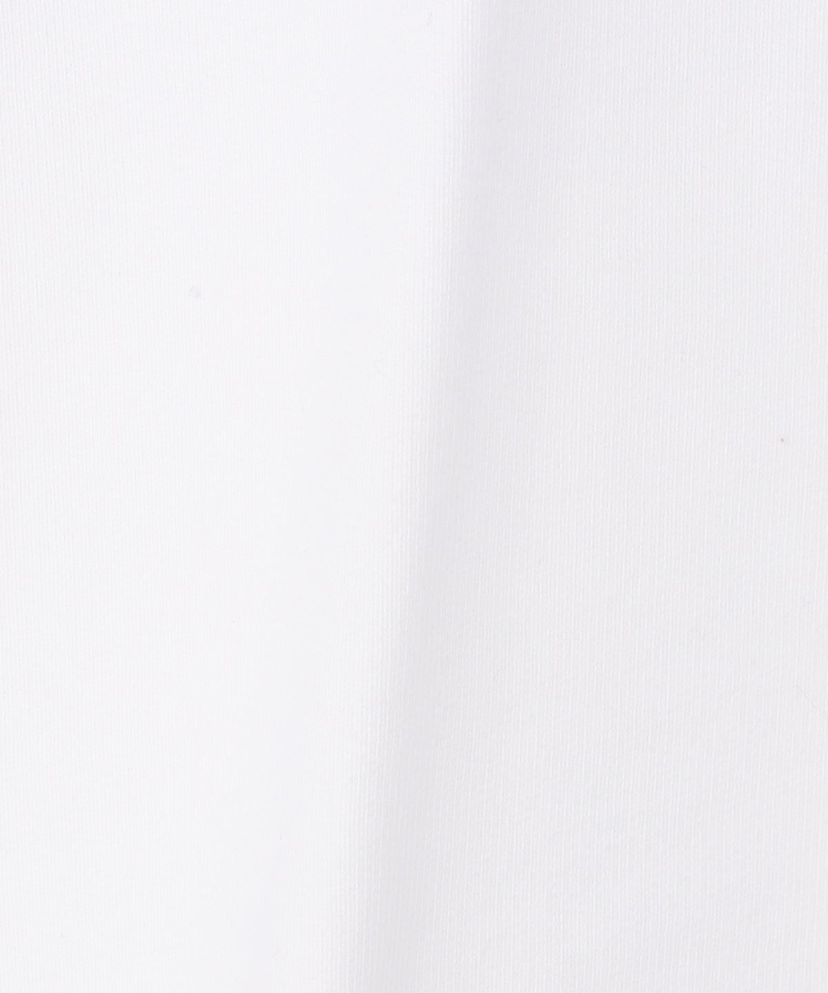 【予約:11月下旬発送予定】スウェットパーカー Logo WHITE