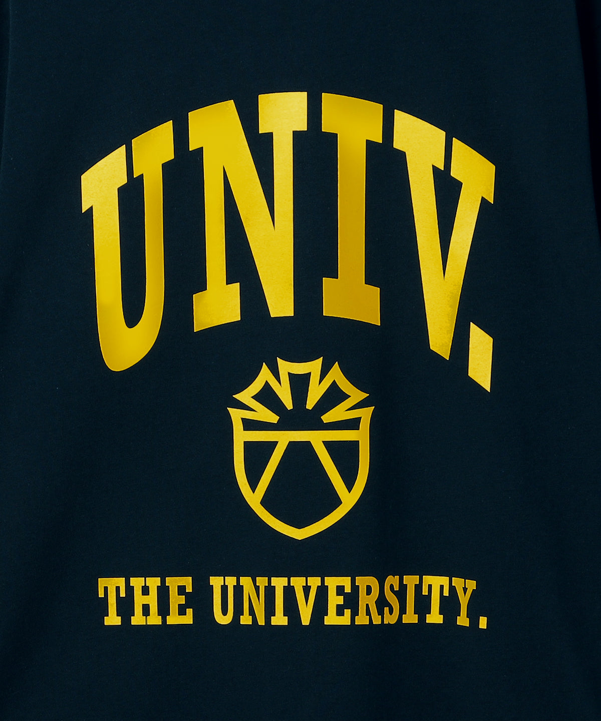 The University. カレッジロゴ ロンT NAVY