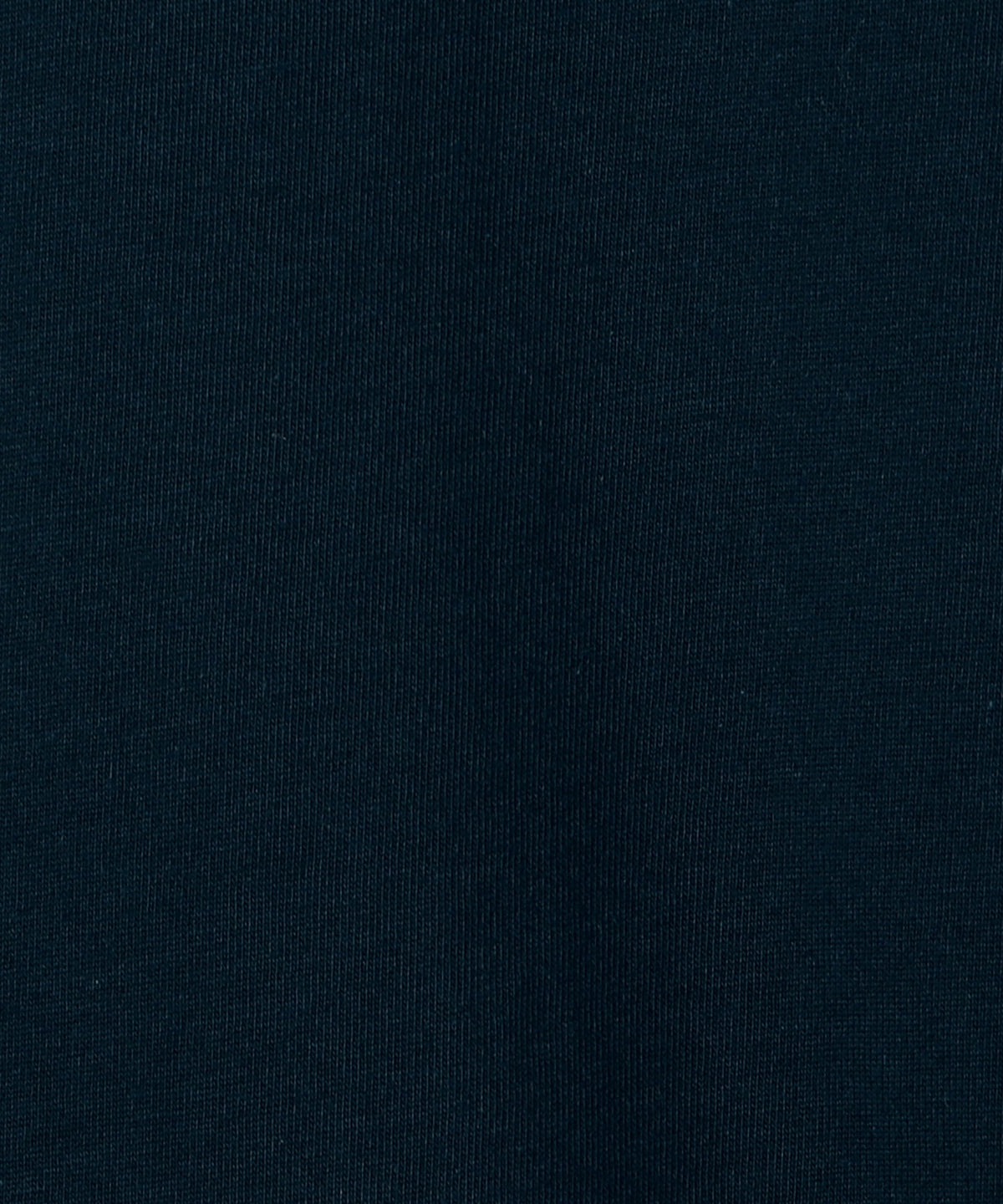The University. カレッジロゴ ロンT NAVY
