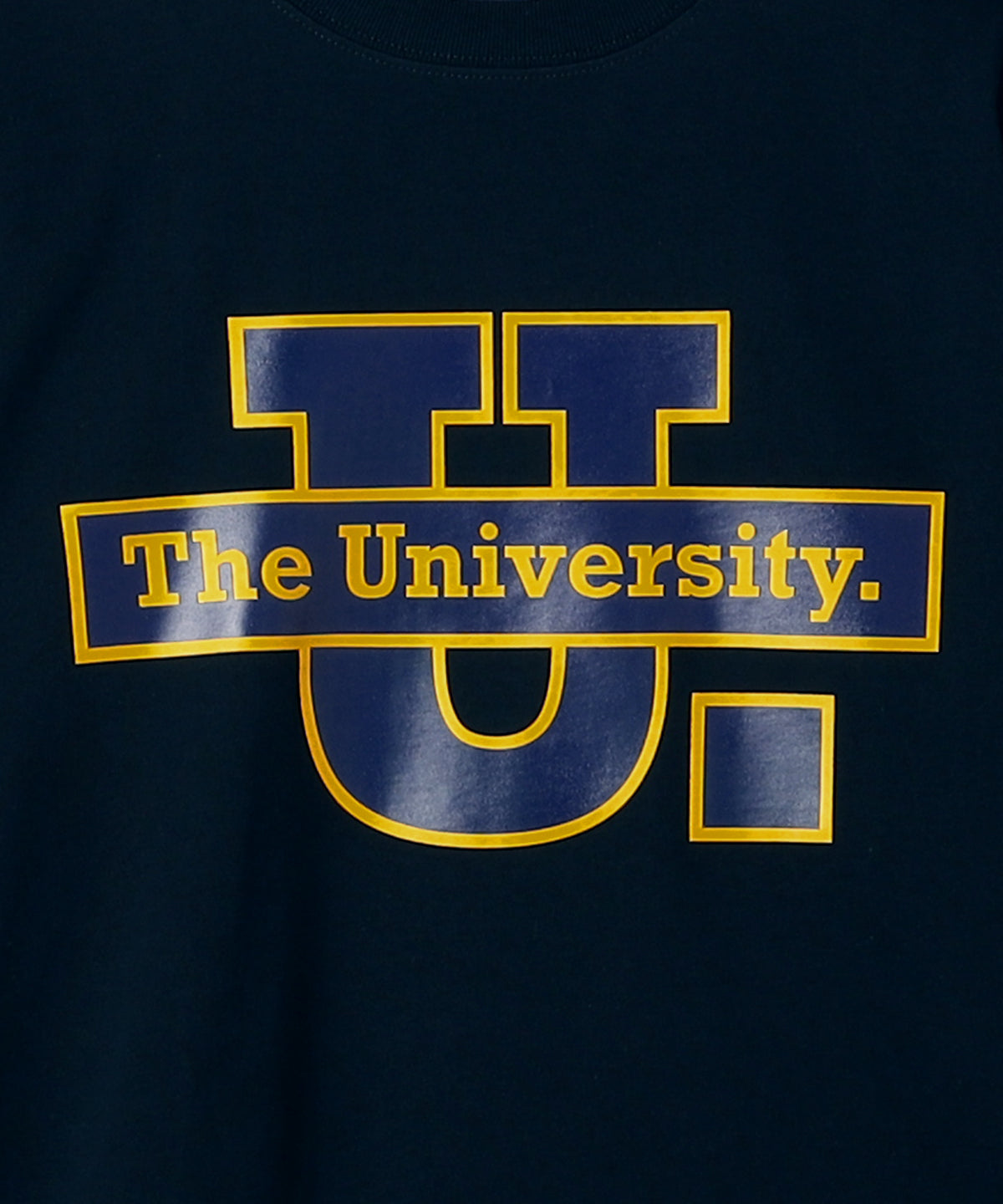 The University. ビッグライン ロンT NAVY