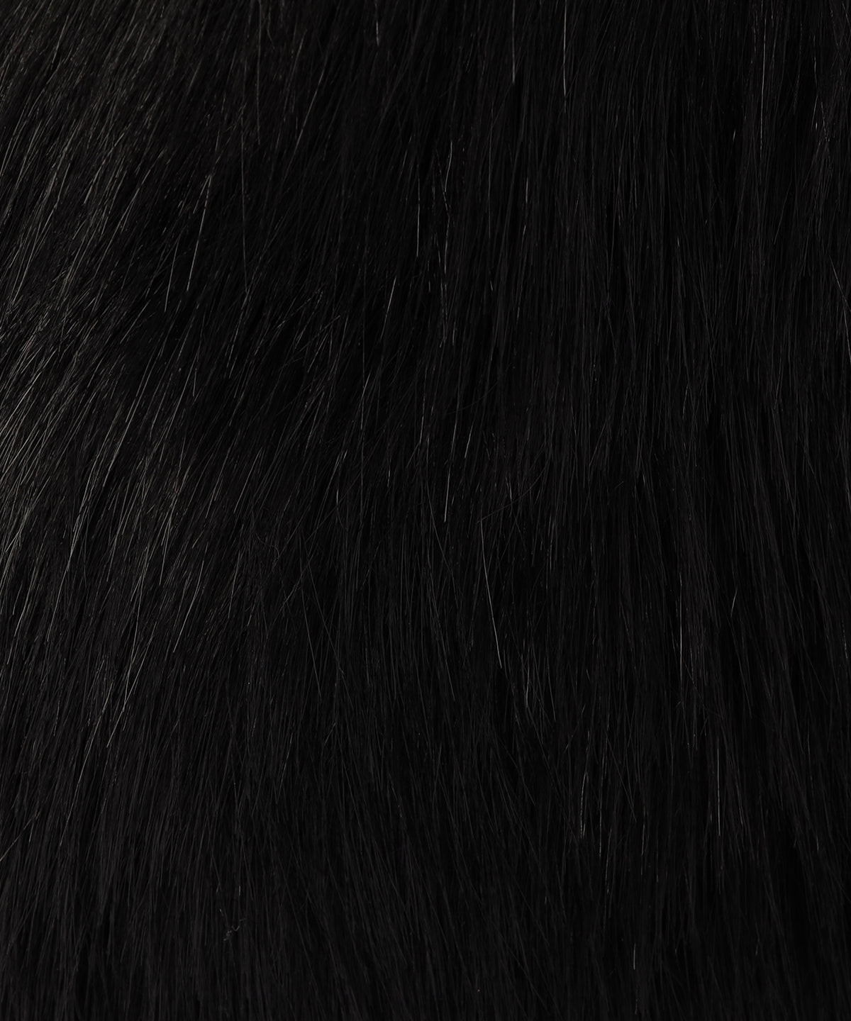 エコファーロゴハンドルトートバッグ (Sサイズ) ブラック