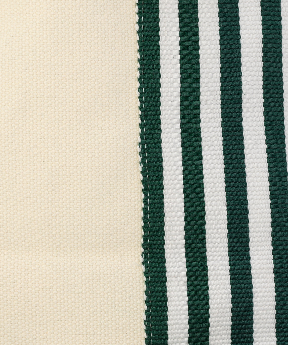 フリンジケンテキャンバストート（Sサイズ）GREEN×WHITE