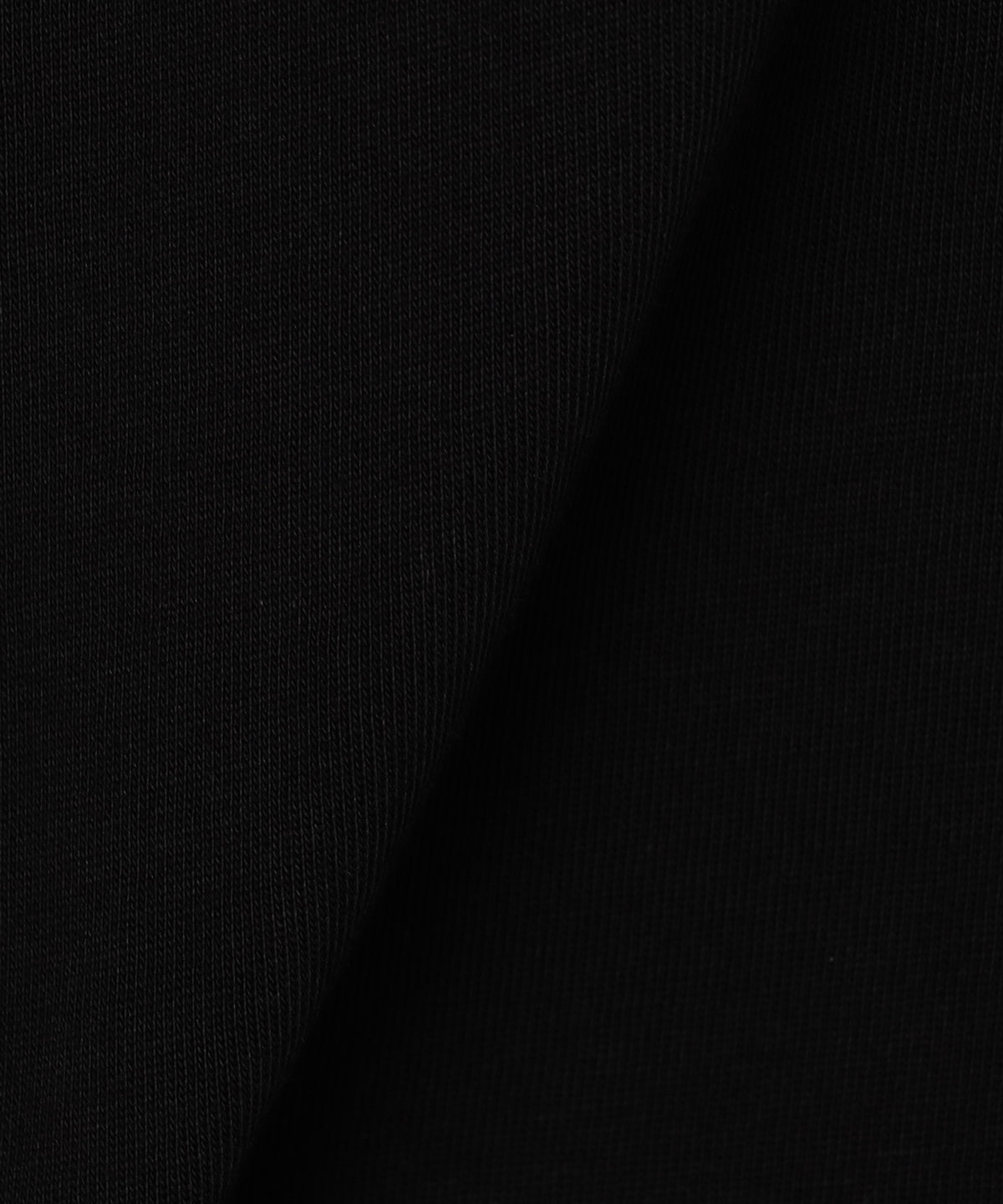 Lunch T-shirts DICEフロッキー BLACK