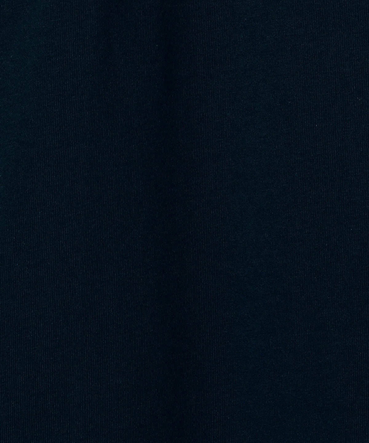 The University. ビッグライン　ロンT　 NAVY