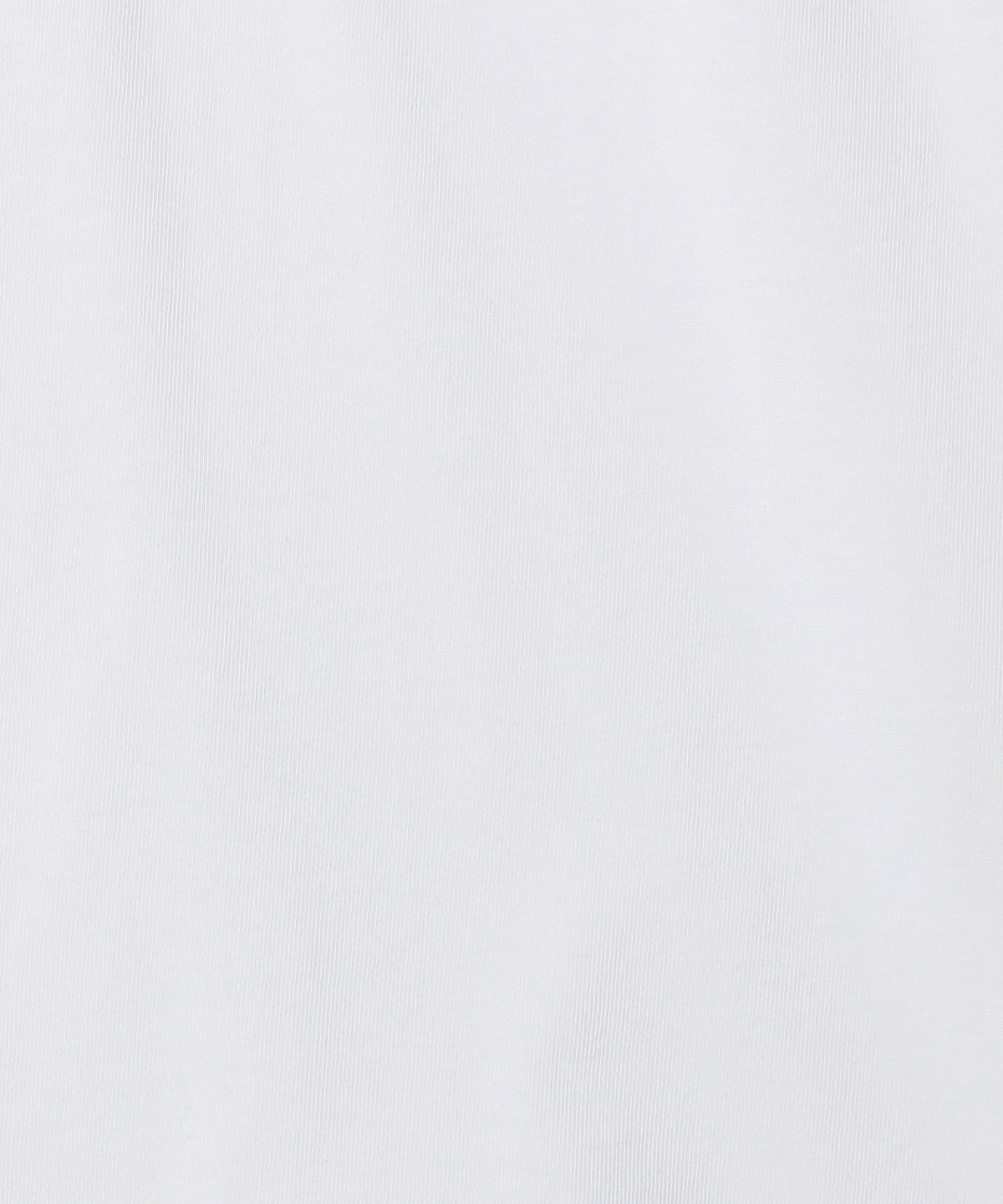 The University. ビッグライン　ロンT　 WHITE