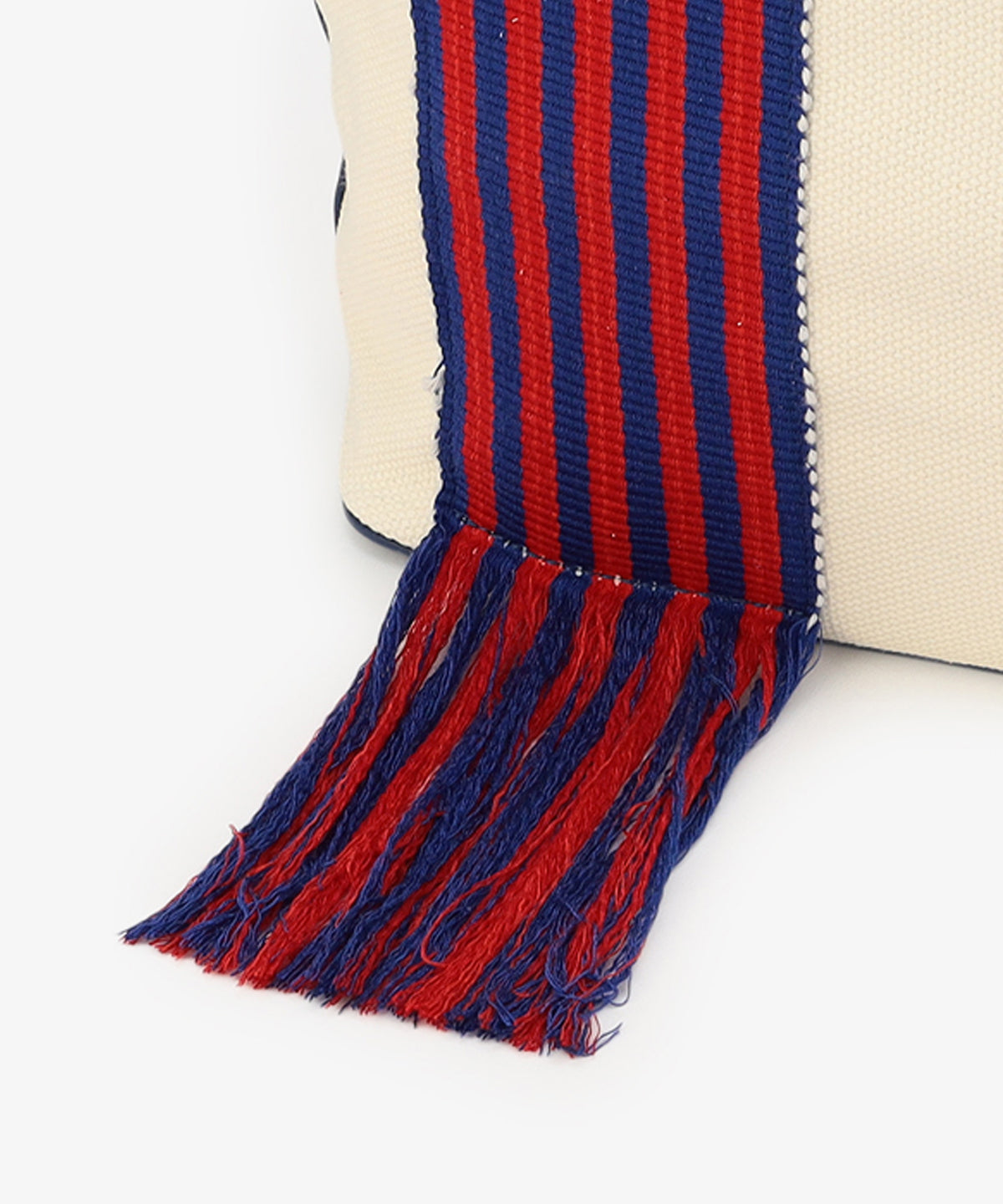 フリンジケンテキャンバストート（Mサイズ）BLUE×RED