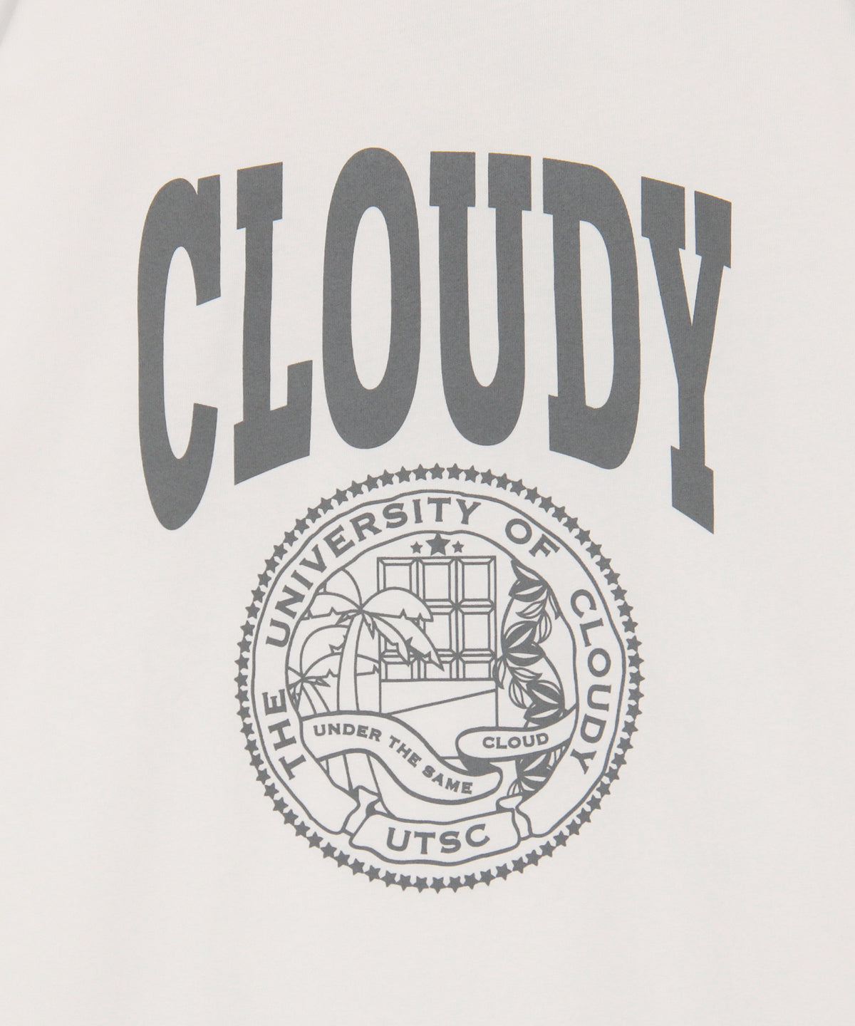 Lunch T-shirt UTSC GRAY